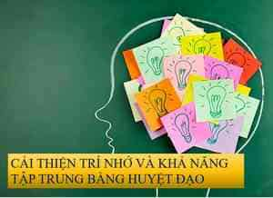 CẢI THIỆN TRÍ NHỚ VÀ KHẢ NĂNG TẬP TRUNG BẰNG HUYỆT ĐẠO