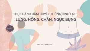 THỰC HÀNH BẤM HUYỆT THÔNG KINH LẠC: LƯNG, HÔNG, CHÂN, NGỰC BỤNG