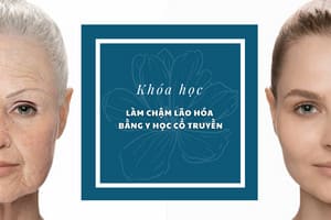 LÀM CHẬM LÃO HOÁ BẰNG Y HỌC CỔ TRUYỀN