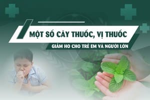 MỘT SỐ CÂY THUỐC, VỊ THUỐC GIẢM HO CHO TRẺ EM VÀ NGƯỜI LỚN